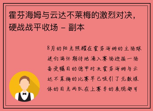 霍芬海姆与云达不莱梅的激烈对决，硬战战平收场 - 副本
