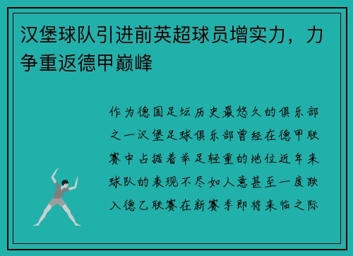 汉堡球队引进前英超球员增实力，力争重返德甲巅峰