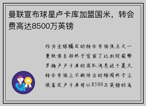 曼联宣布球星卢卡库加盟国米，转会费高达8500万英镑