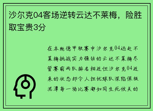 沙尔克04客场逆转云达不莱梅，险胜取宝贵3分